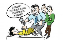 老年人讨债组合：守护权益的温暖力量