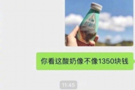 阿娇要账：娱乐圈的债务风波